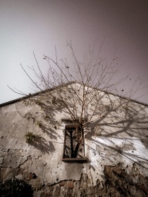 DSCF0592 1.3