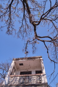 DSCF0621