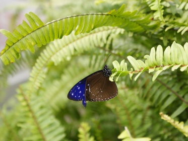 DSC0002a