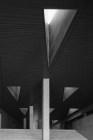 DSCF6536